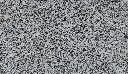 Himalaya_6-large.webp